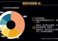 狗民网论坛,宠物爱好者的交流乐园