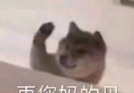 沙雕又好看的头像,搞笑又好看的个性头像大盘点”