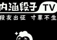内涵段子为什么被封杀,原因揭秘与影响分析