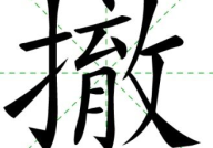 摇字开头的成语,摇字开头的成语解析与运用”
