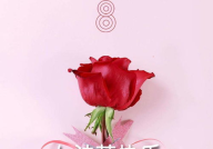 女神节祝福图片,传递温馨祝福，展现女性风采